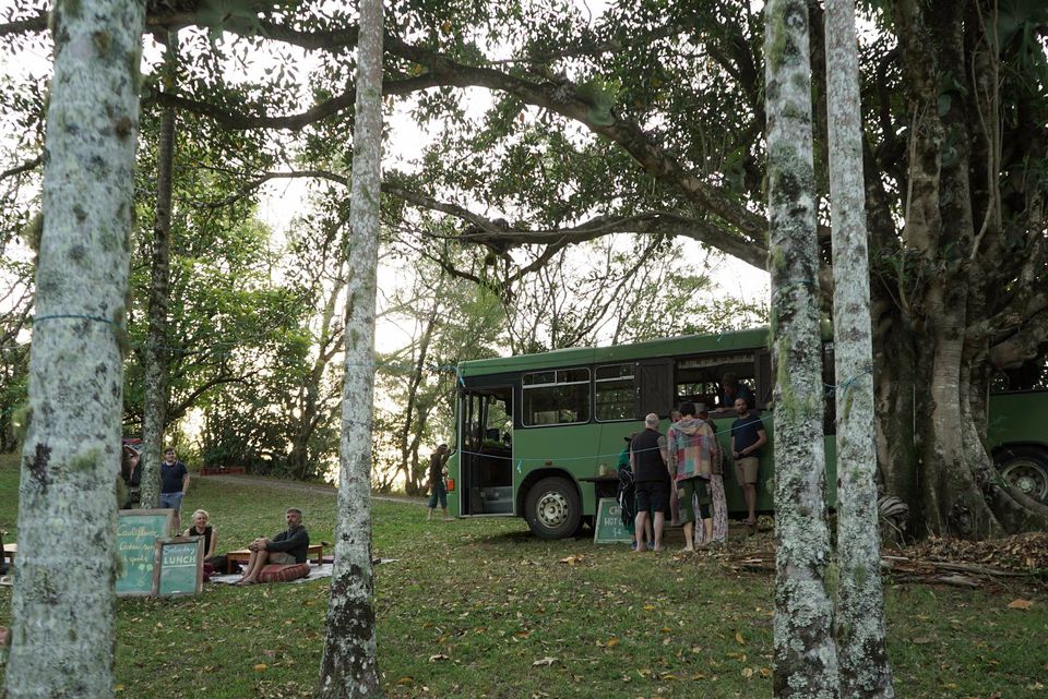 herbalist gathering 2019