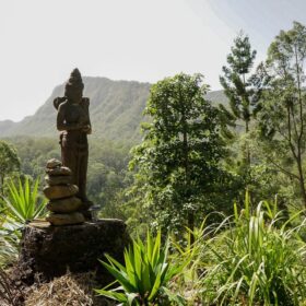 herbalist gathering 2019