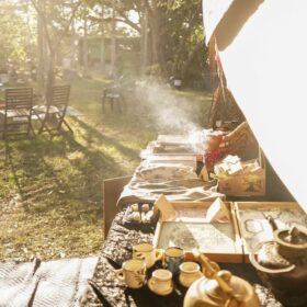 herbalist gathering 2019