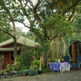 herbalist gathering 2019