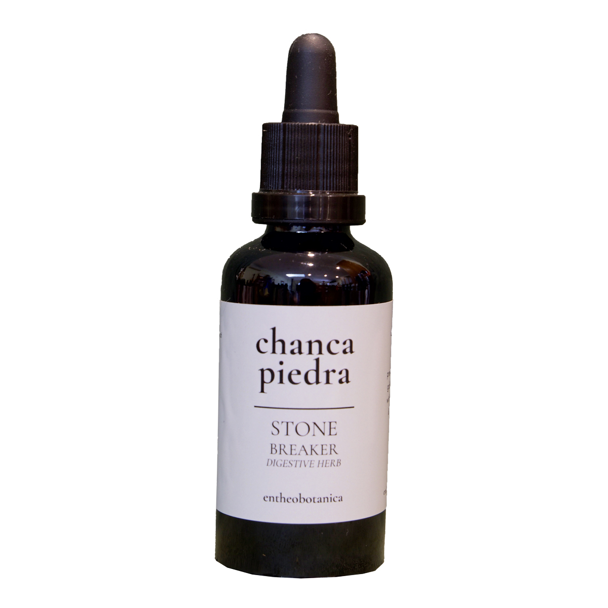 Chanca piedra Kidney Stone Breaker Phyllanthus niruri