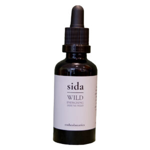 Sida Fresh Plant Tincture