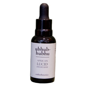 Ubhubhubhu Helinus integrifolius African Dream Herb