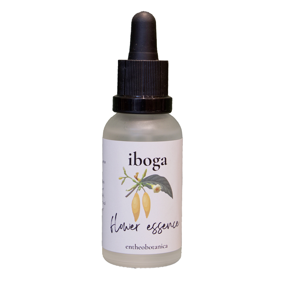 Eboga Flower Essence Tabernanthe eboga