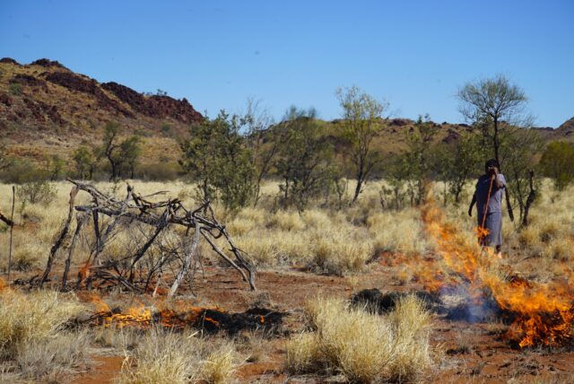 Burning back the dead wood.

Growth isn't always upwards and outwards. Contrary to the appearance of our civilisation, growth is also downwards and inwards. Death and decay are ripe territory for growth.

I often tell my clients " DON'T RUSH THE REBIRTH " it's a dopamine trap. The moments of striping back, of shedding, of falling apart - these are some of the most powerful times of your life. And if you don't want to be there, then honour the process enough to not have to return there very often. Honour the process by lingering there - let the process be your guide, not your own desires.

Leaping into the new vision of who you are before the funeral service is an unsustainable culturally groomed approach to life - it reveals how unbalanced we are on any footing other than our preferred stance - that os standing on top of and controlling something.

Burning back the dead wood is a way of regenerating the land so that we can also be regenerated. What about your dead wood? If you are longing for a rebirth, and a break through, and a wake up, and a change of scenery. Then decay is inevitable. But decay needs to be tended to in a different way that you may be used to. It isn't something you dominate, it's something you surrender to. It requires trust, it requires guidance, it requires humility.

Here's an Auntie I spent some time with in the middle of Australia tending to her ancestral land. She knows how to work with fire regularly so it doesn't get into trouble territory.