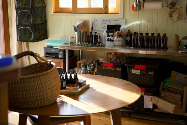 This is where the magic happens!
My happy place.

#entheobotanica #rebelherbal