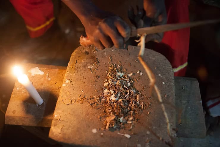 Ethnobotany & Iboga sustainability