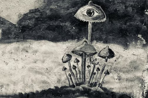 Part One Eating mushrooms Mazatec style