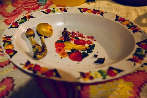 Part Two Eating mushrooms Mazatec style