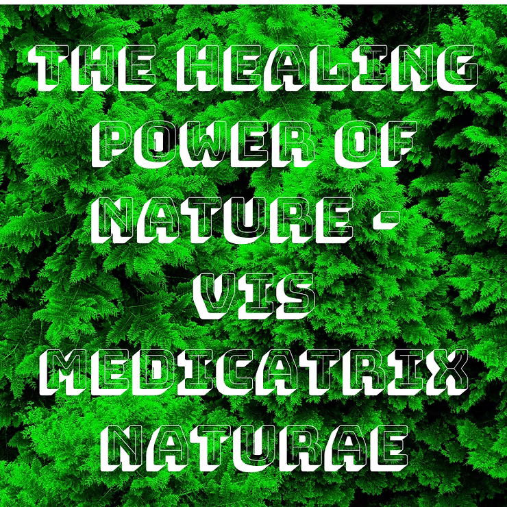The Healing Power of Nature