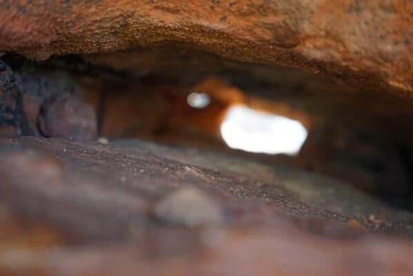 Where do Entheogens fit into the medicine cabinet