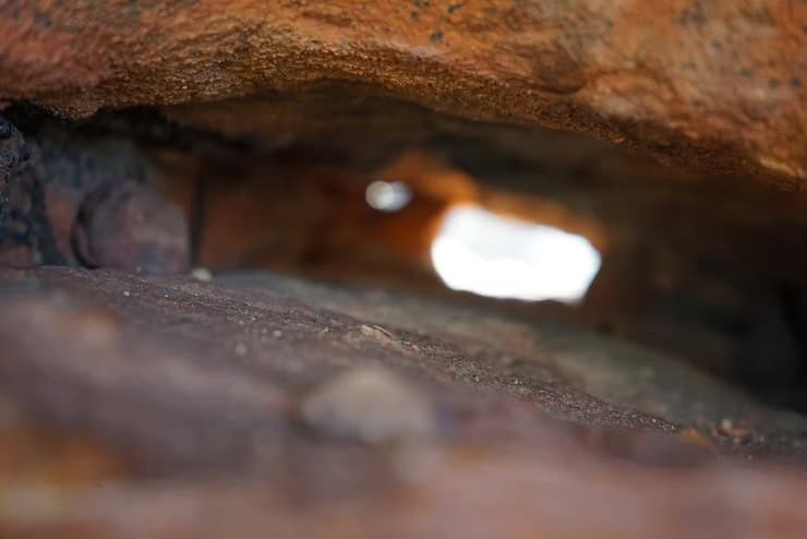 Where do Entheogens fit into the medicine cabinet